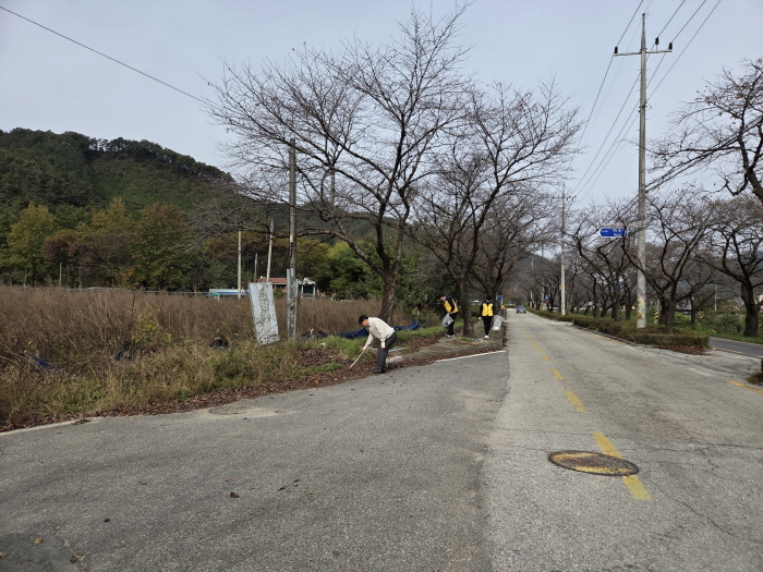 소양천 환경정화 봉사활동 실시3