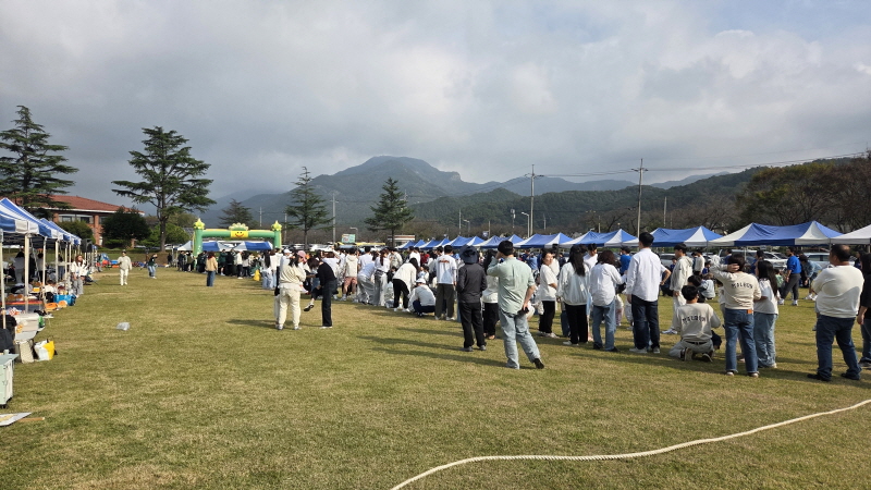 하버드유치원04