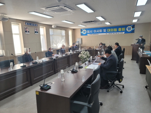 임시이사회